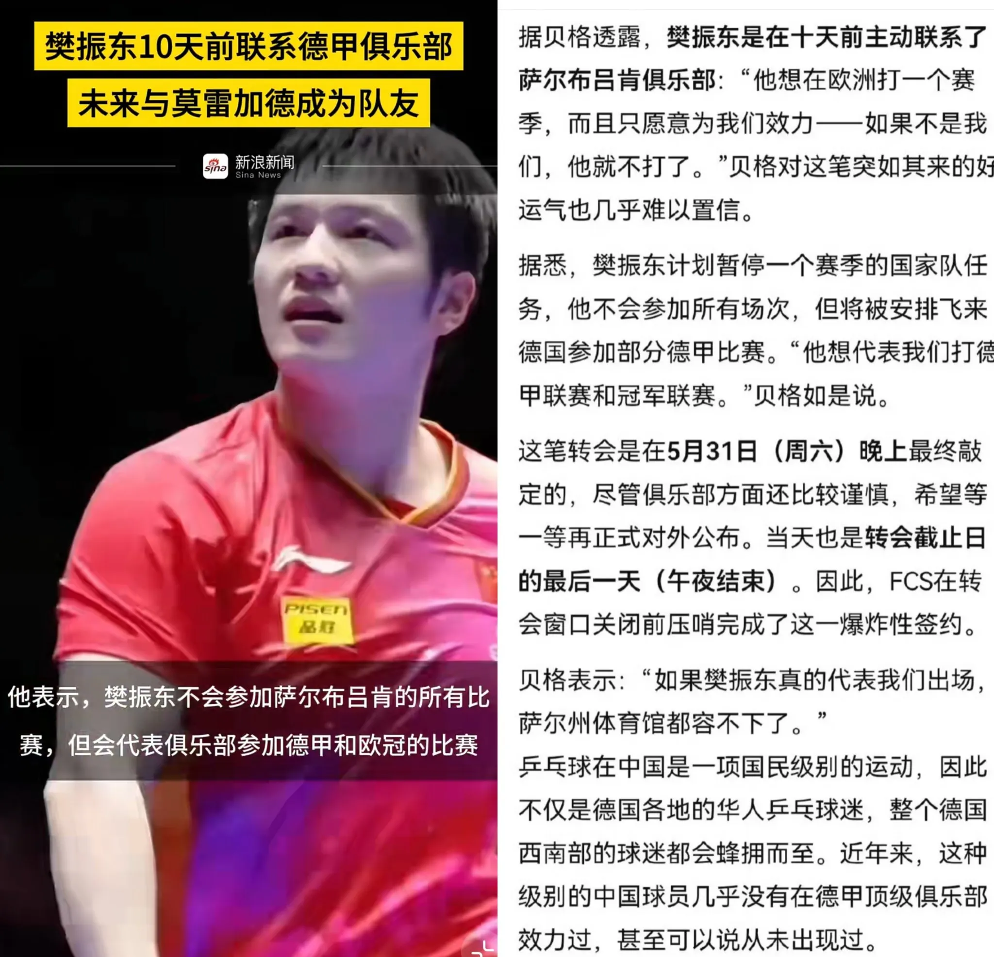 法国乒乓球队血洗瑞典乒乓球队,樊振东制霸全场 法国乒乓球队血洗瑞典乒乓球队,樊振东制霸全场