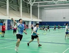 印尼羽毛球队横扫英格兰羽毛球队，安赛龙绝境逆转的简单介绍