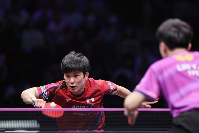 中国队鏖战奥地利队，张本智和状态火热