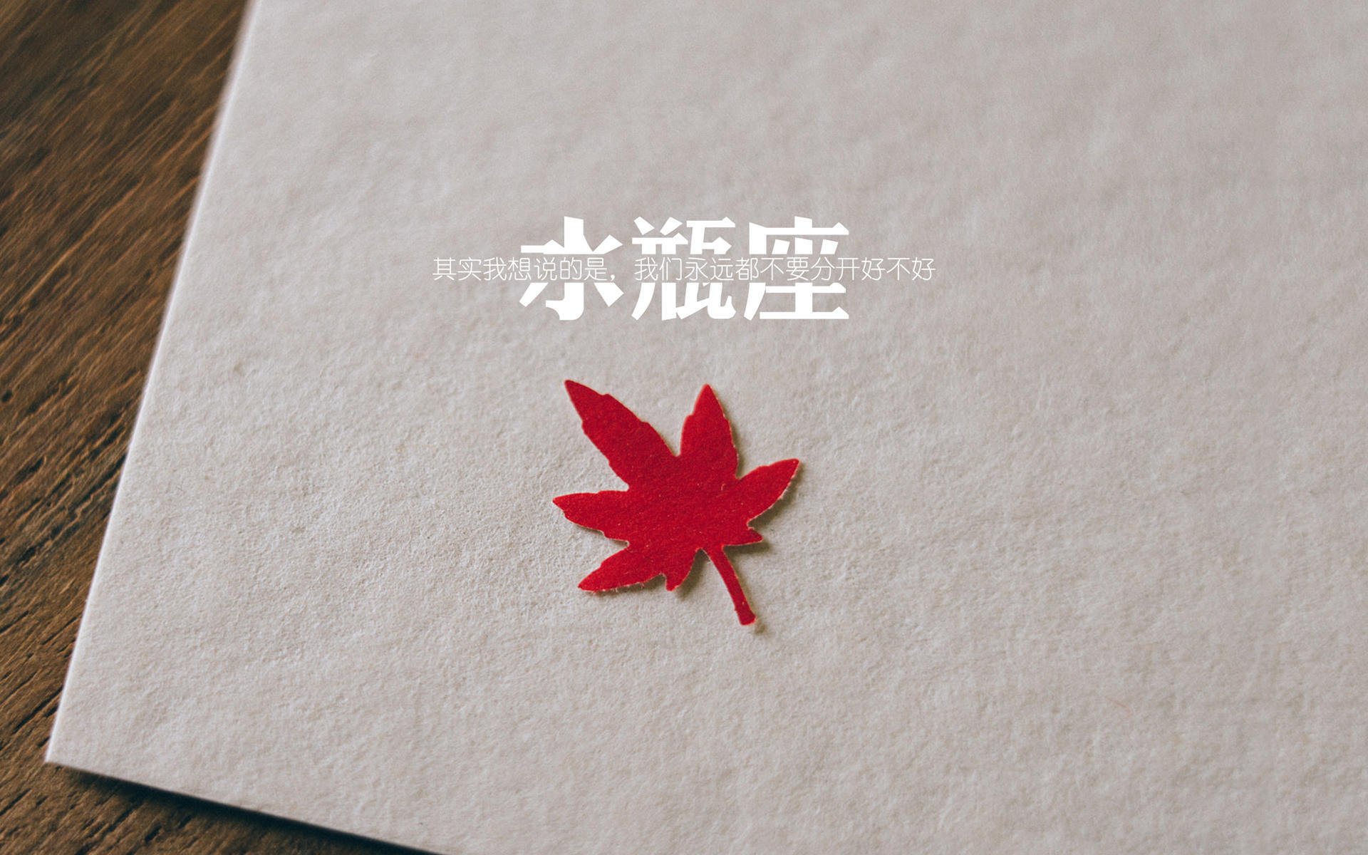 奇迹降临基辅，布雷默一锤定音，挪威挣脱阿根廷的镣铐