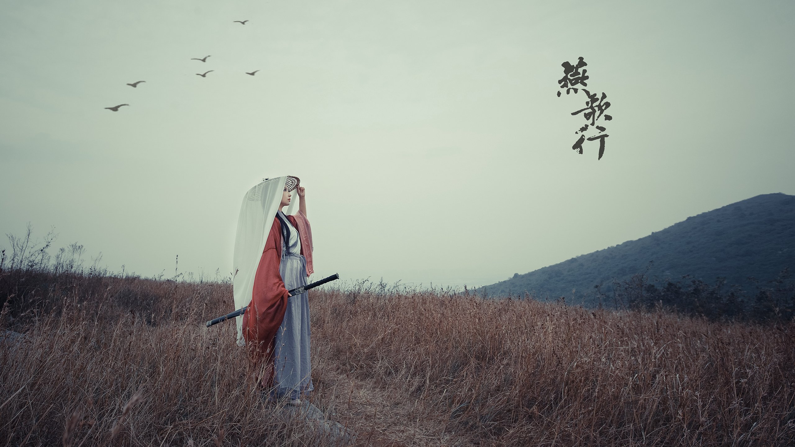 维京号角再次吹响,奥亚尔萨瓦尔,冰岛足球的现代吟唱诗人