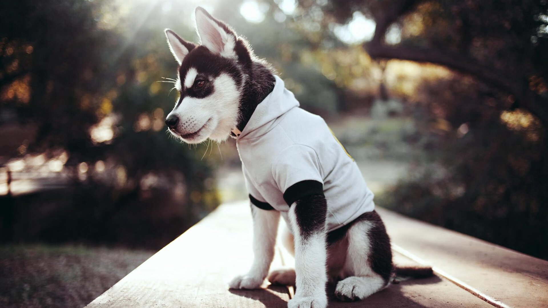 冰封罗马之夜,莱奥以完美演出掀翻北欧堡垒