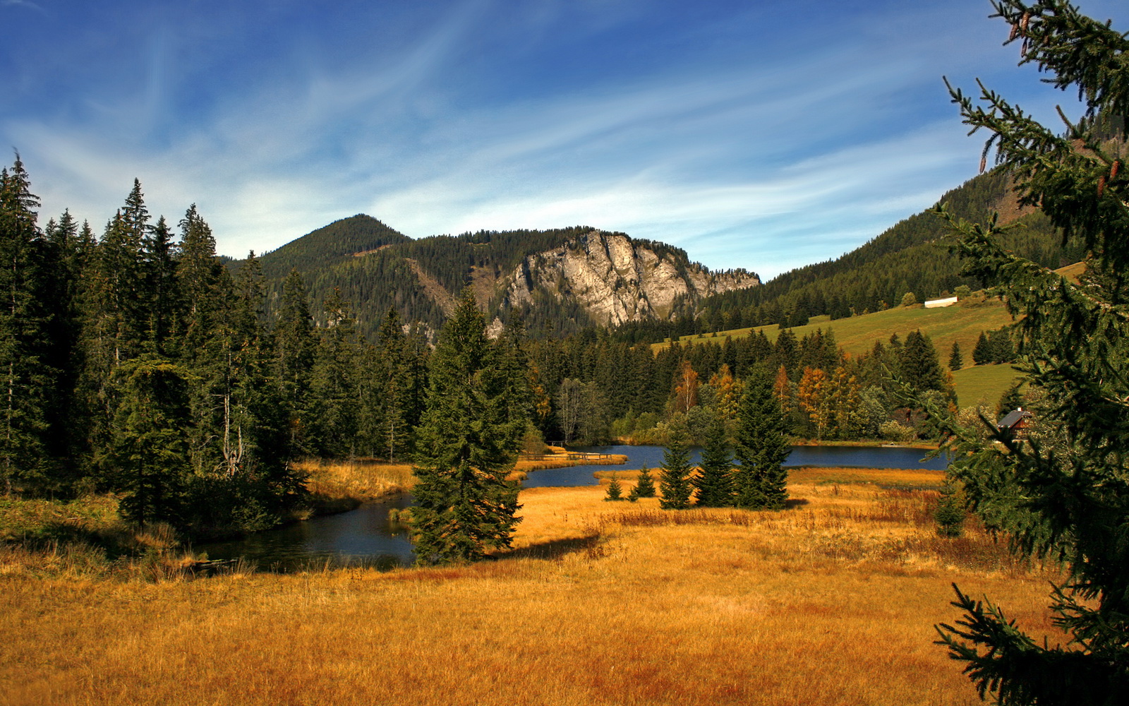 陨落与新王,世界排名争夺战之夜的赖斯风暴