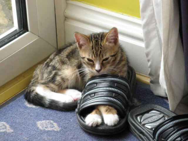 草蛇灰线，伏脉千年，当北京首钢在平行世界的NBA淘汰了华盛顿奇才