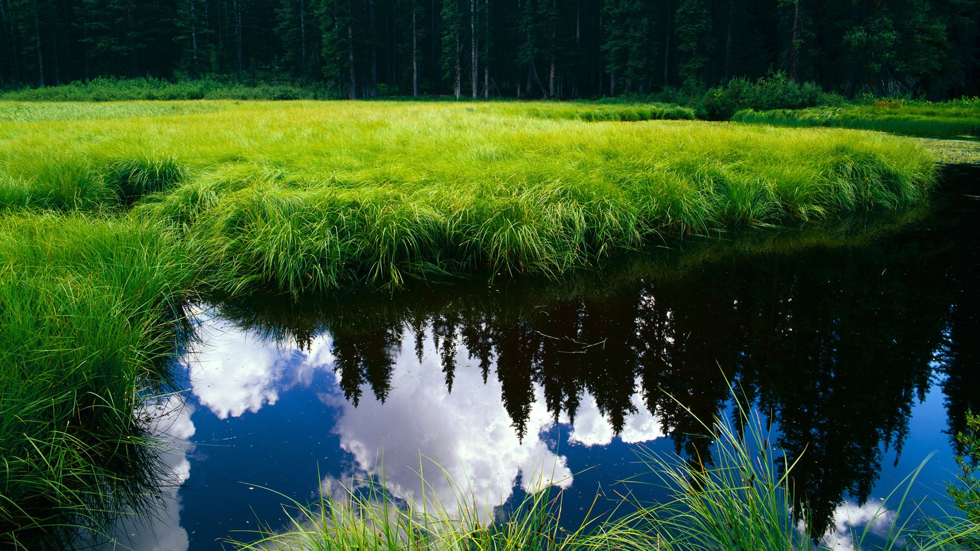 唯一剧本,当拉梅洛在年度焦点之战接管比赛,深圳队已提前为老鹰写下结局