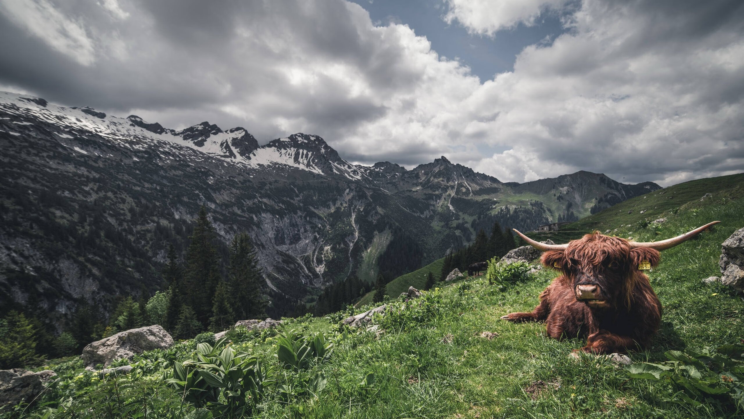 唯一之战,上海队强行终结勇士王朝,文班亚马化身关键先生