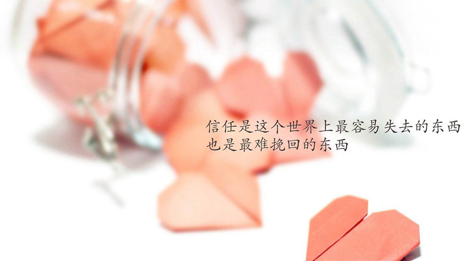 赛道上的绿茵场,F1年度争冠焦点战与佛罗伦萨淘汰赛过关哥斯达黎加的竞争共鸣