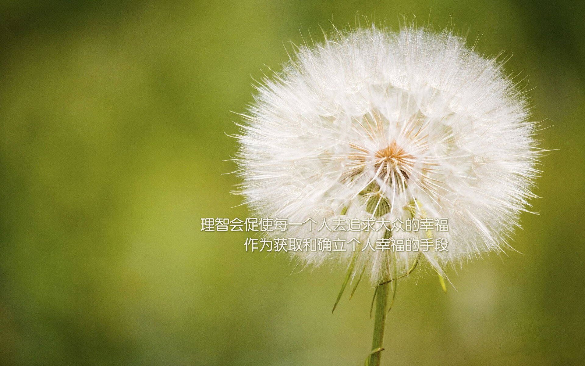 决胜韩国，阿什拉夫爆发，蓝黑双翼征服亚洲试炼