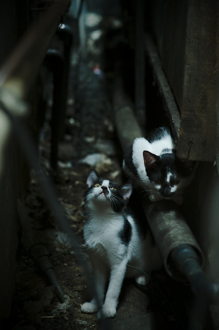 窒息式防守下仍能脱缰！乔治单核率队击溃老鹰铜墙铁壁