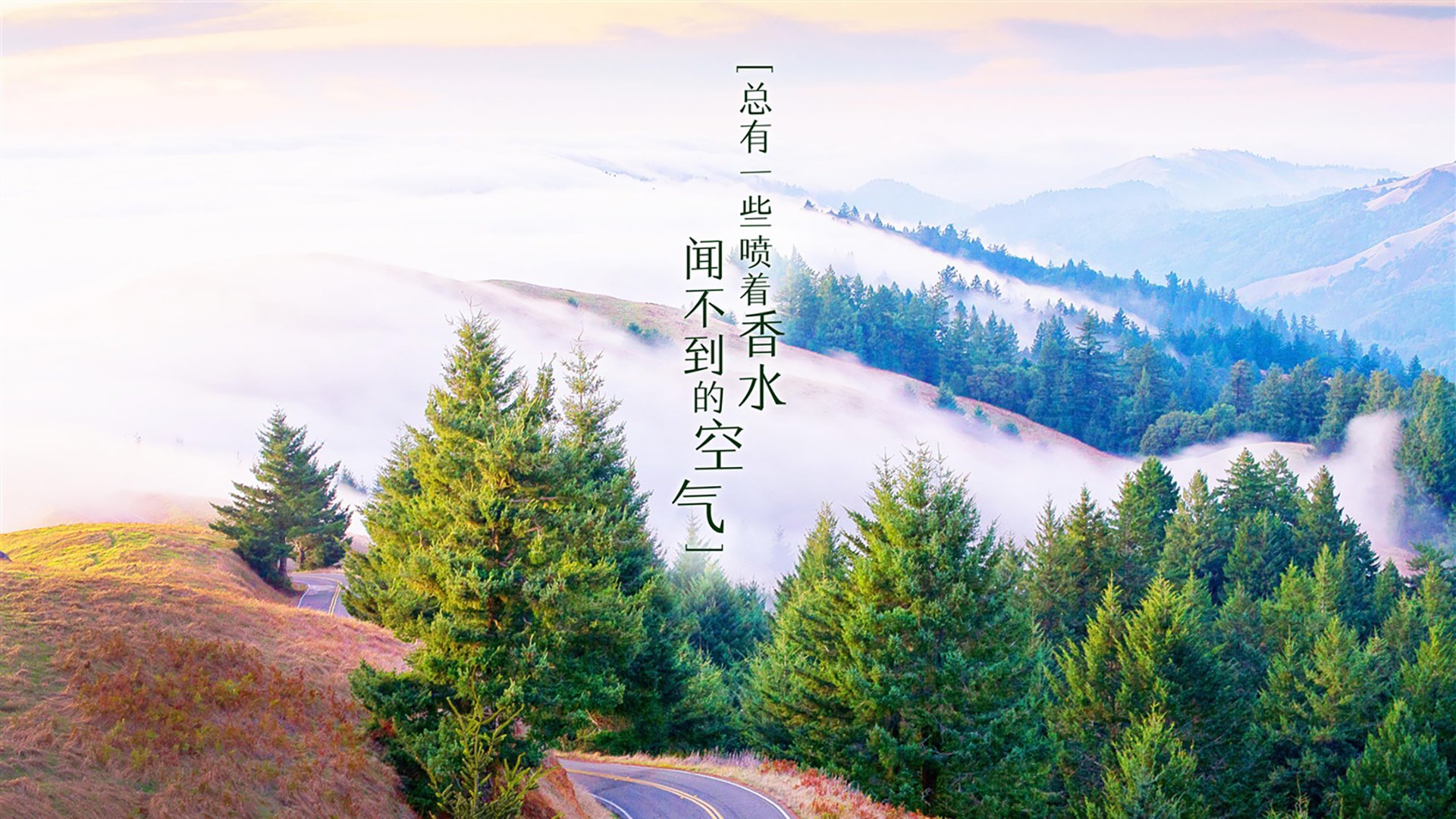 命运九分钟,厄瓜多尔的复仇与齐耶赫的致命一击,如何让2026世界杯B组陷入唯一的疯狂