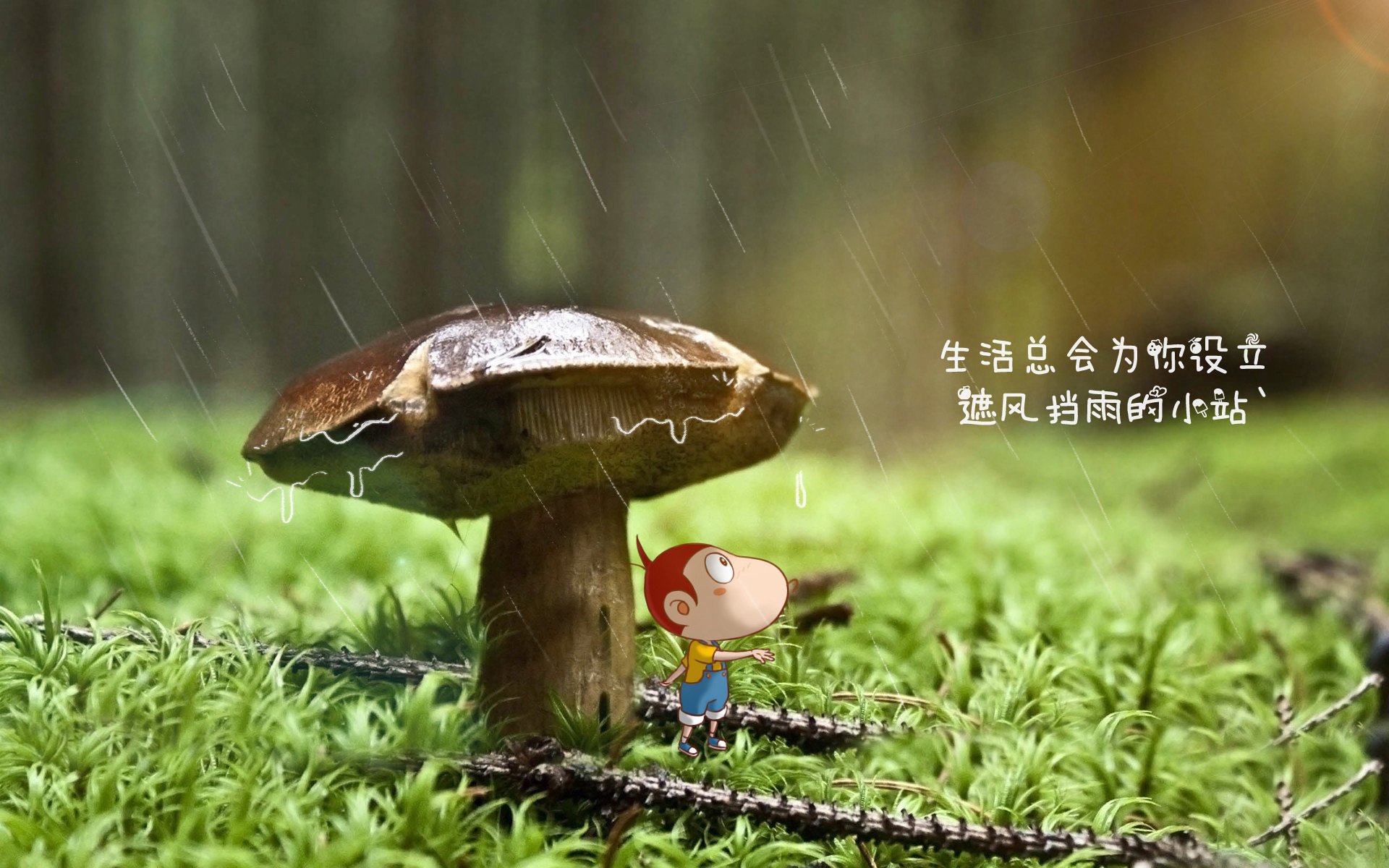 这是一篇为您定制的深度文章。文章标题采用了纪实+叙事+悬念的手法,以强化唯一性的现场感和冲突感